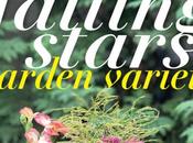 Falling Stars: Garden Variety