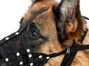 Mouth Cover German Shepherd