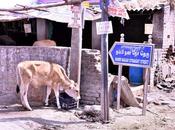 துபாய் குறுக்குச் சந்து Straight STreet !!!!