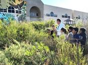 AUTHOR VISIT ESPERANZA SCHOOL: Hands-On Science Natural Habitat School Garden