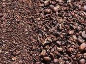 Ever Heard This Competitor Coffee,