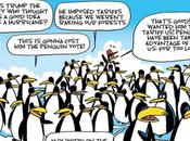 Penguins Tariff