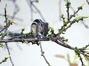 Tariff Mayhem Insurance Relevance