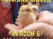 VIRTUAL SCHOOL VISIT Ladera Stars Academy, Thousand Oaks,