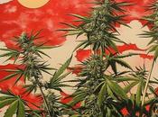 Your Guide Home Cannabis Cultivation: Tips Legal Growth