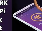 Network Coin Price Revealed Truth Confirmed