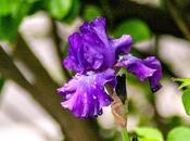 Some Sights Hoboken Here]