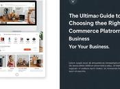 Ultimate Guide Choosing Right E-commerce Platform Your Business 2025