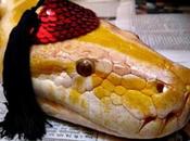 Essential Things Consider Before Getting Snake