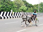 Rekhla Race நெஞ்சம் உண்டு நேர்மை ராஜா