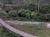 Build Bridges Stay Connected