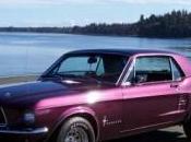 Scratches Anti-freeze…