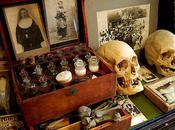 Mummies Monkey Skulls: Creepiest Antiques