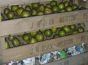 Pear Storage