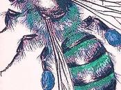 Wild Honey B-day Bash