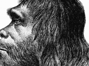 Featured Animal: Neanderthal