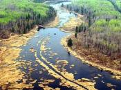 Mysterious Cracked Earth Spills Alberta Damaging Cold Lake Ecosystem