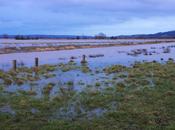 Sunset Somerset Levels