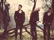 Fallen Drakes: Anymore Cinema