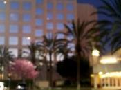 Staying Hyatt Regency Orange County