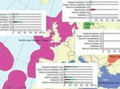 Reports Detail Woeful State Europe’s Seas Nature News Blog