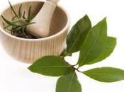 Ayurvedic Herbs Promoting Hair Growth