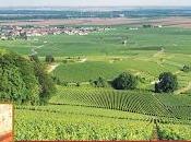 Popes, Saints, Kings French Wine: Journey Through Champagne, Burgundy, Rhône Valley