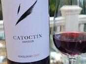 Grape Spotlight: Maryland Teroldego