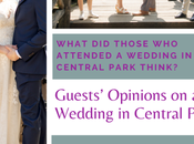 What Were Guests’ Opinions Wedding Central Park?