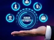 Role Utility Management Companies Modern Resource