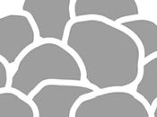 Evolved Mental Errors That Underlie Current Cultural Political Malaise