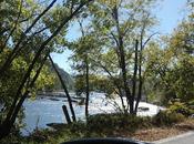 Tick Bite--Lyme Disease?