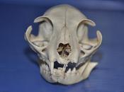 Fearfully Wonderfully Made