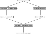 Plyometrics Exercises [2025] .pdf