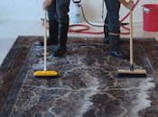 Give Life Rugs with Carpet Cleaning Without Buying Ones