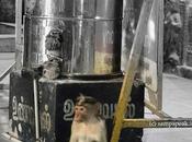 Morning Activity Sitting Summa