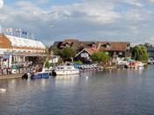 Roys Wroxham