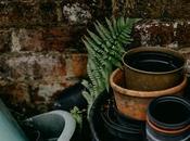 Garden Upgrades Done During Low-Use Season