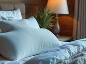 Best Pillow Sleeping with Neck Back Pain Relief