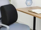 Need Back Rest Pillow Office