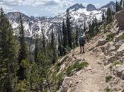 Twenty Questions (E8): Better Than, When Walking/Hiking