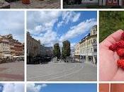 What Learned, Looking Forward, Back: July 2025