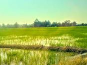 Road... Chiang Rai, Thailand: Golden Triangle Tour: Part