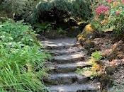 TUESDAY PORTLAND, OREGON OHSU FARMERS MARKET ROCK GARDEN Guest Post Caroline Hatton