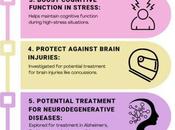Creatine Mental Fatigue [2026]