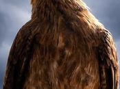 Eagle Eye-view