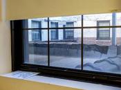 Window Views