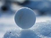 Snowballs Spring