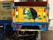 Crow Transport