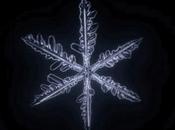 Watch: Amazing Time-Lapse Video Shows Snowflake Bloom